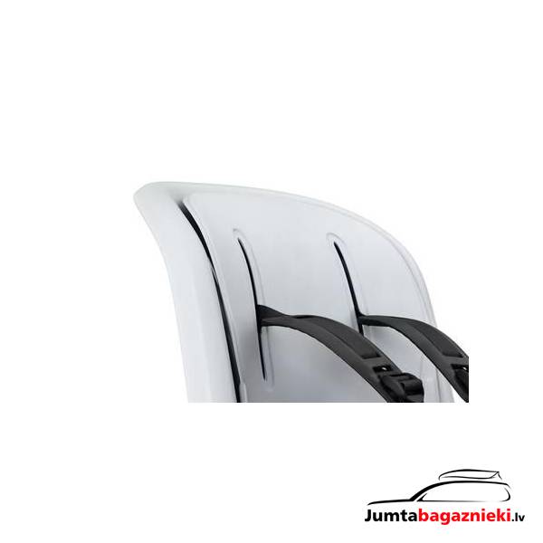 Thule RideAlong 2 Thule RideAlong 2