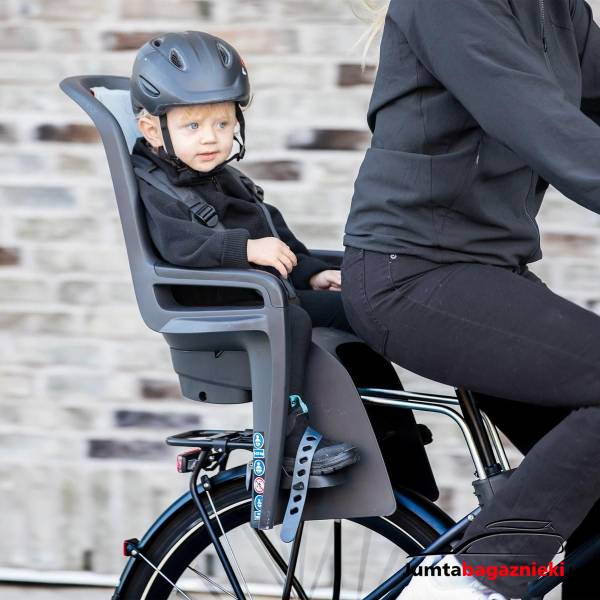 Thule RideAlong 2 Thule RideAlong 2