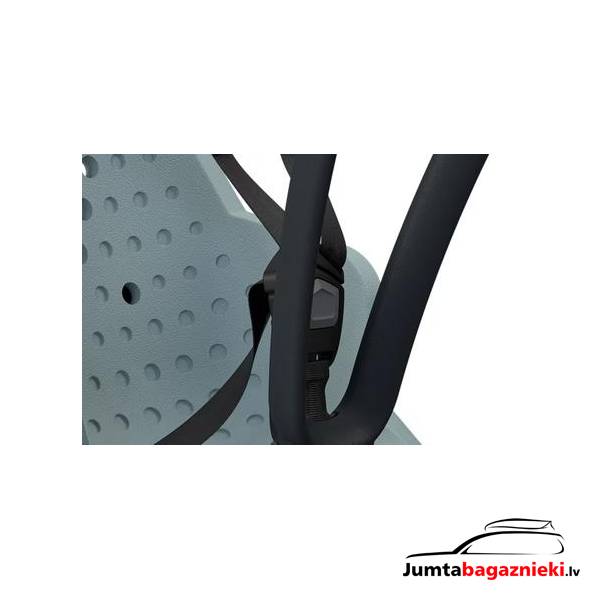 Thule Yepp 2 Mini Thule Yepp 2 Mini