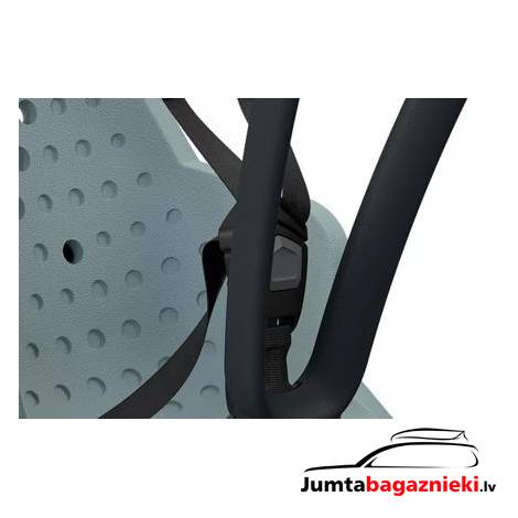 Thule Yepp 2 Mini