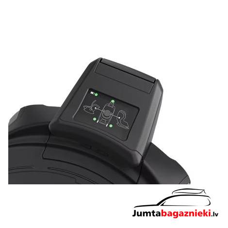 Thule Elm