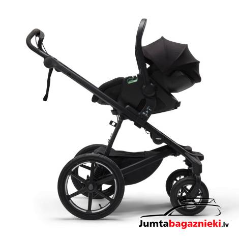 Thule Maple