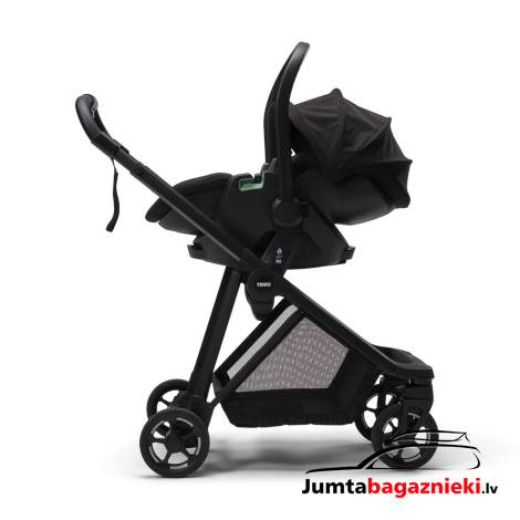 Thule Maple