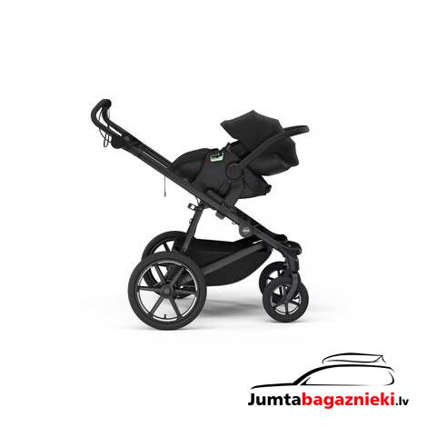 Thule Maple