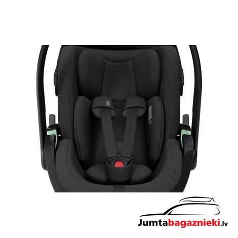 Thule Maple