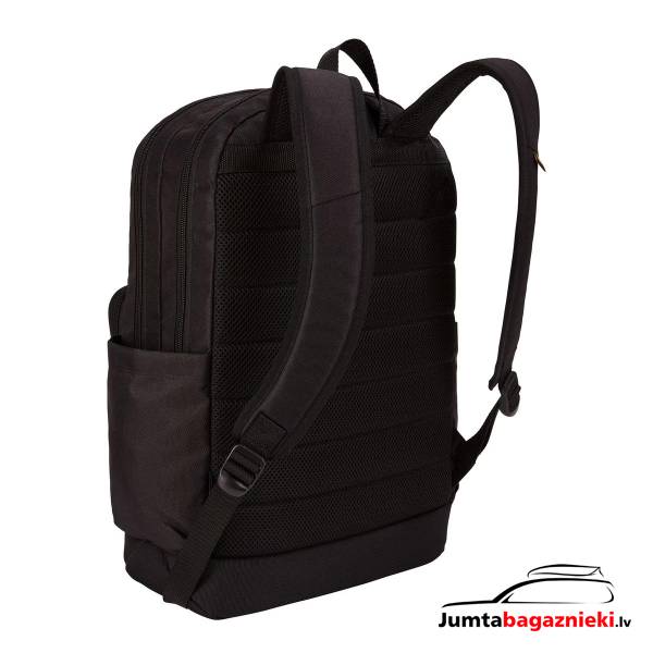 Case Logic Query 29L Case Logic Query 29L
