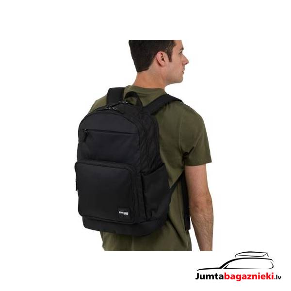 Case Logic Query 29L Case Logic Query 29L