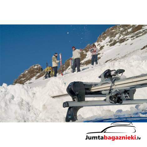 Neumann ski carrier 60 cm