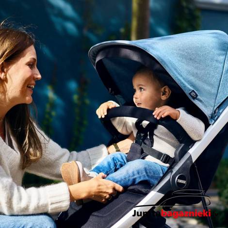 Thule Spring Canopy Majolica Blue