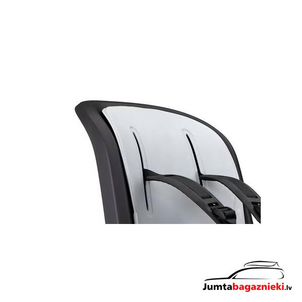 Thule RideAlong 2 Thule RideAlong 2