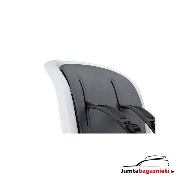 Thule RideAlong 2 Thule RideAlong 2